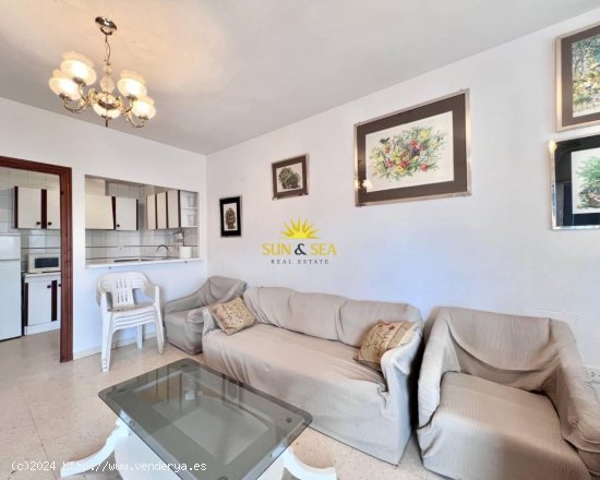 Apartamento en alquiler en Torrevieja (Alicante)