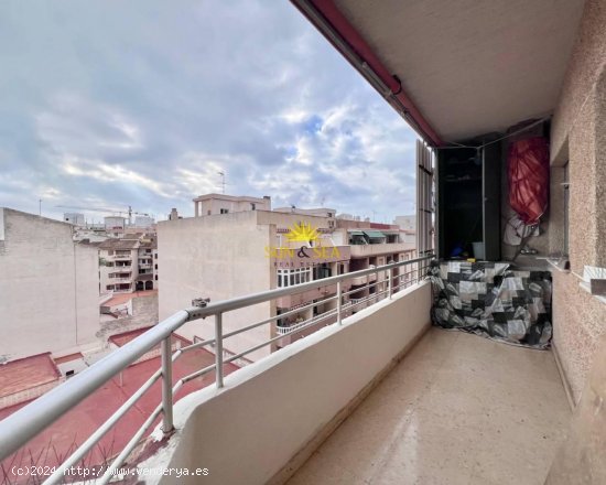 Apartamento en alquiler en Torrevieja (Alicante)