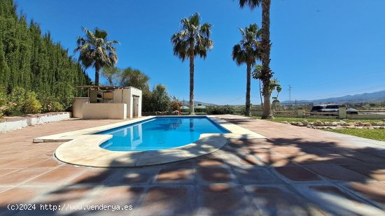 Finca en venta en Alhaurín el Grande (Málaga)