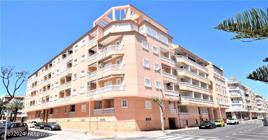 Apartamento en alquiler en Guardamar del Segura (Alicante)