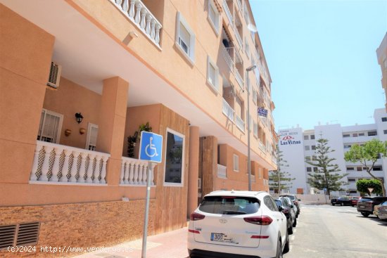 Apartamento en alquiler en Guardamar del Segura (Alicante)