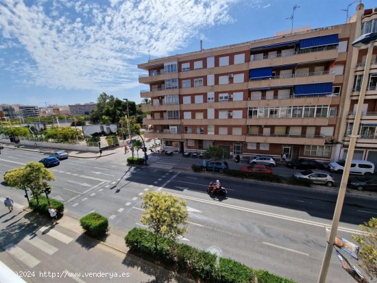 Apartamento en venta en Torrevieja (Alicante)