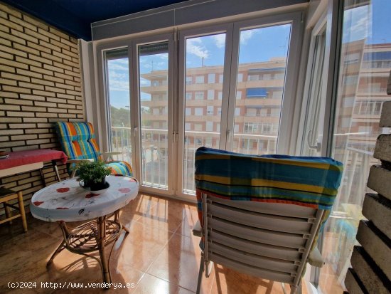 Apartamento en venta en Torrevieja (Alicante)