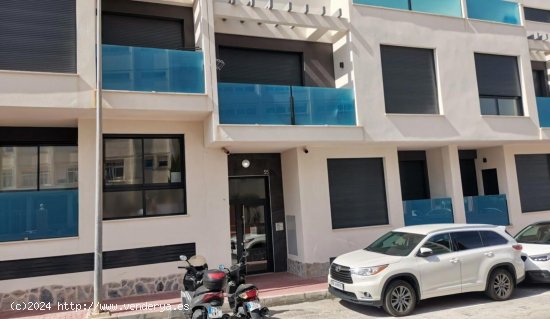 Apartamento en venta en Torrevieja (Alicante)