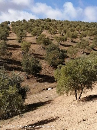 Finca en venta en Sierra de Yeguas (Málaga)