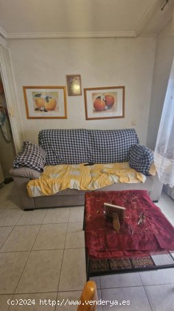 Estudio en venta en Torrevieja (Alicante)