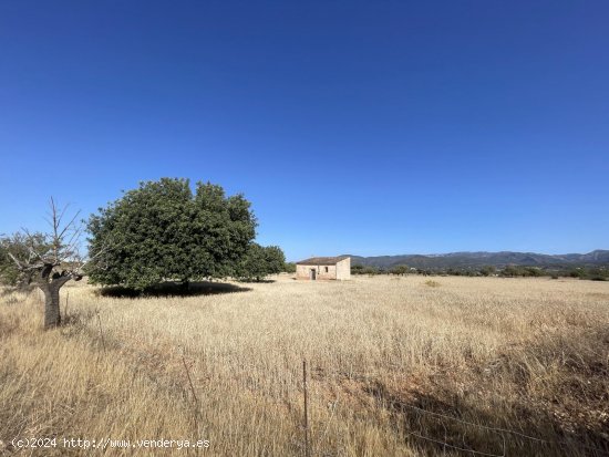 Solar en venta en Consell (Baleares)