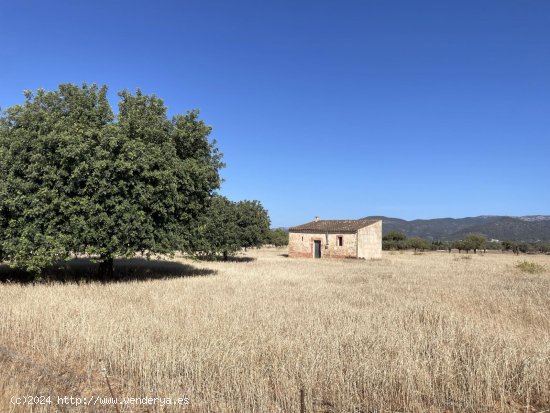 Solar en venta en Consell (Baleares)