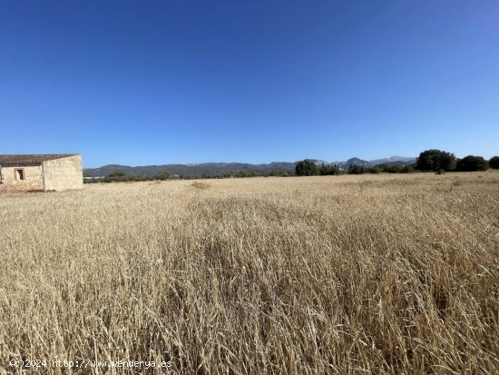 Solar en venta en Consell (Baleares)