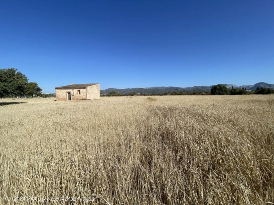 Solar en venta en Consell (Baleares)