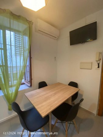 Apartamento en alquiler en Granada (Granada)