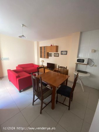 Apartamento en alquiler en Granada (Granada)