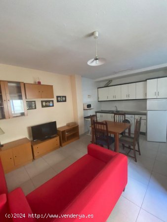 Apartamento en alquiler en Granada (Granada)