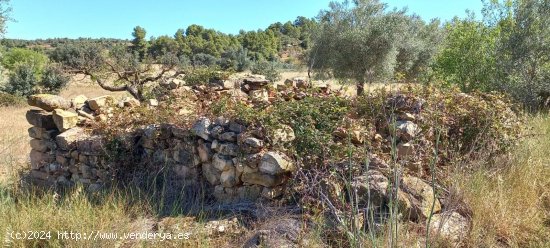 Finca en venta en Horta de Sant Joan (Tarragona)