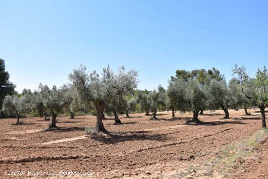 Finca en venta en Lledó (Teruel)