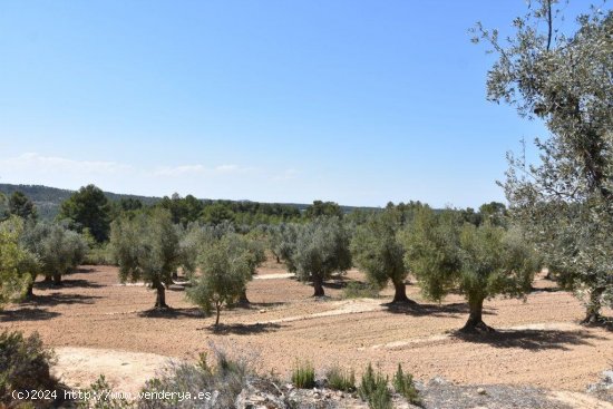 Finca en venta en Lledó (Teruel)