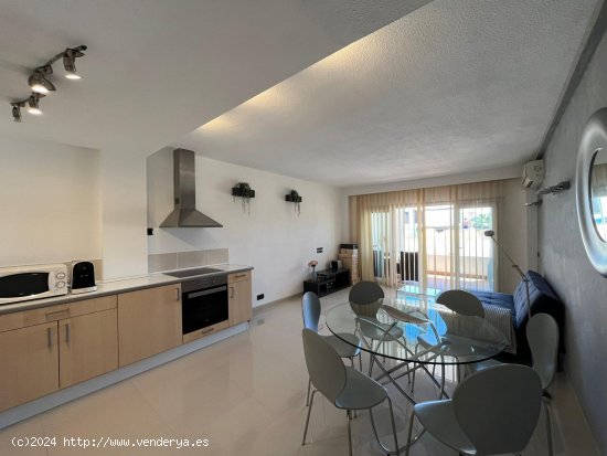 Apartamento en alquiler en Calvià (Baleares)