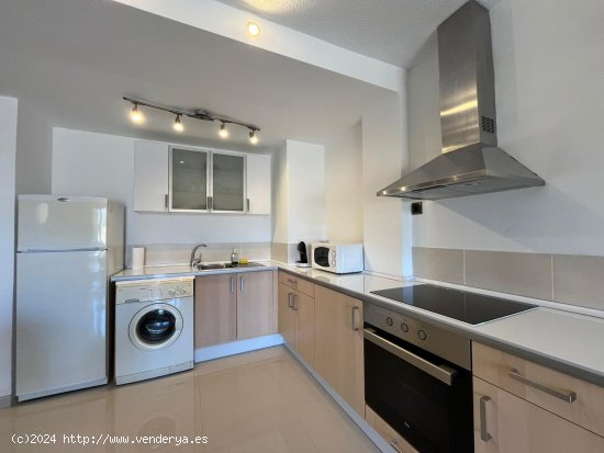 Apartamento en alquiler en Calvià (Baleares)