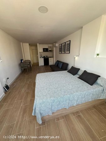 Apartamento en alquiler en Palma de Mallorca (Baleares)