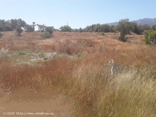 Finca en venta en Alhaurín el Grande (Málaga)