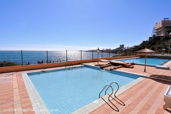 Apartamento en venta en Torrevieja (Alicante)