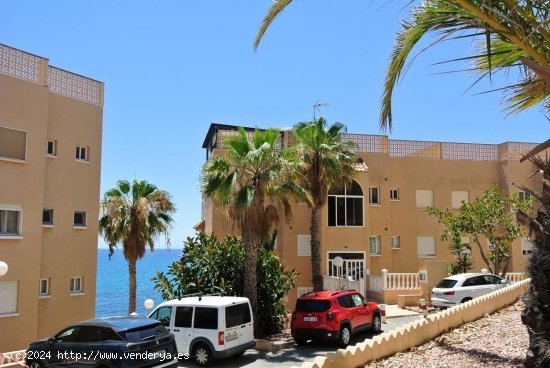 Apartamento en venta en Torrevieja (Alicante)