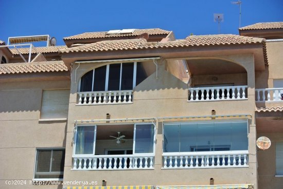 Apartamento en venta en Torrevieja (Alicante)