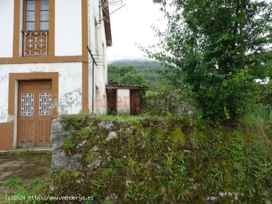 Casa en venta a estrenar en Grado (Asturias)