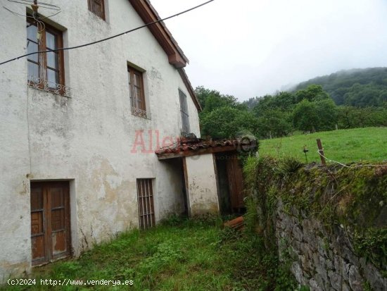 Casa en venta a estrenar en Grado (Asturias)