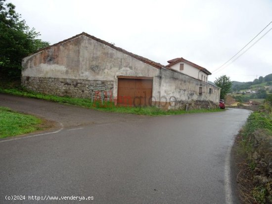 Casa en venta a estrenar en Grado (Asturias)