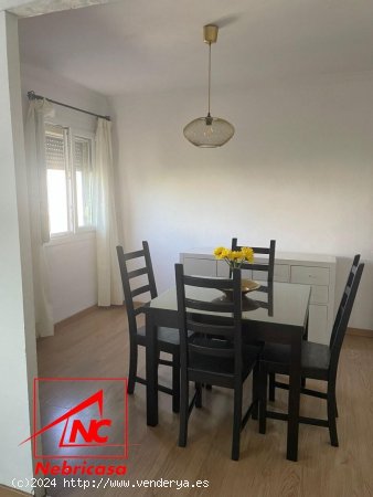 Piso en venta en Las Cabezas de San Juan (Sevilla)