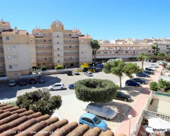 Casa en alquiler en Torrevieja (Alicante)