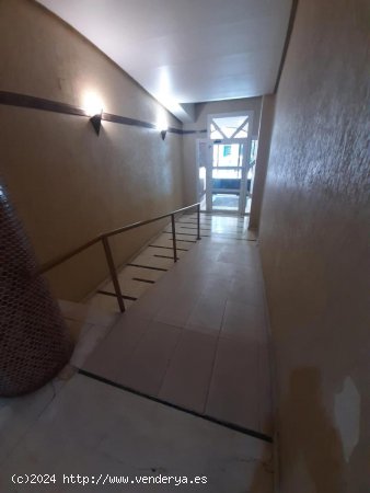 Apartamento en venta en Torrevieja (Alicante)