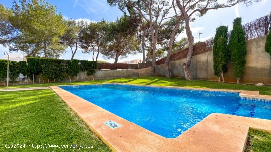 Apartamento en alquiler en Felanitx (Baleares)