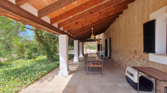 Finca en venta en Calvià (Baleares)