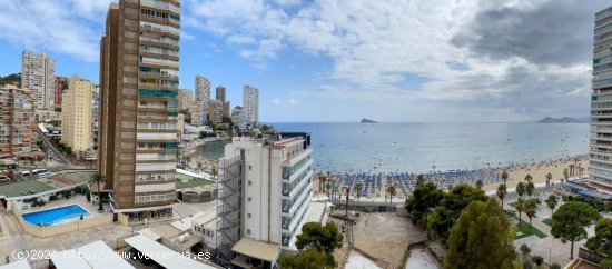 Apartamento en venta en Benidorm (Alicante)