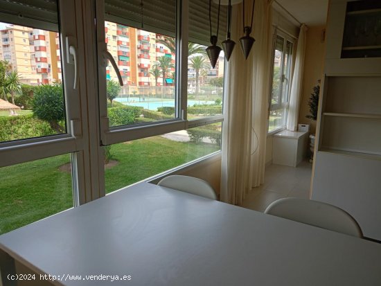 Apartamento en alquiler en Torrox (Málaga)