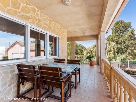 Finca en venta en Catral (Alicante)