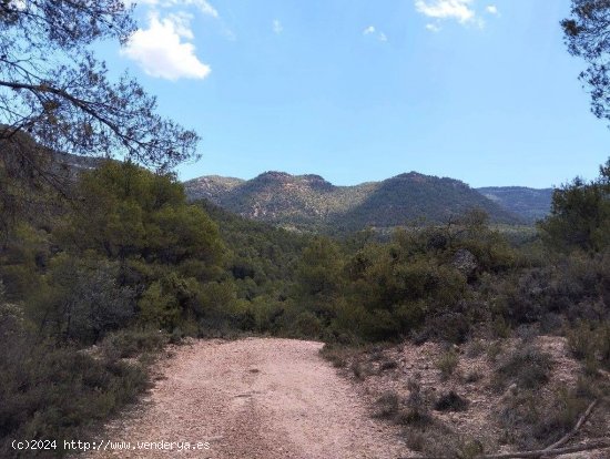  Finca en venta en Fuentespalda (Teruel) 