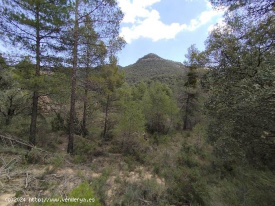 Finca en venta en Fuentespalda (Teruel)