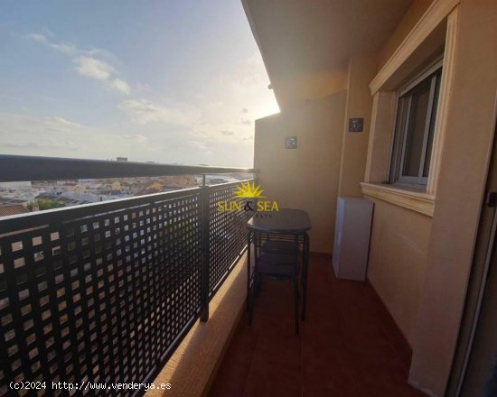 Apartamento en alquiler en Torrevieja (Alicante)