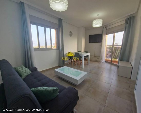 Apartamento en alquiler en Torrevieja (Alicante)