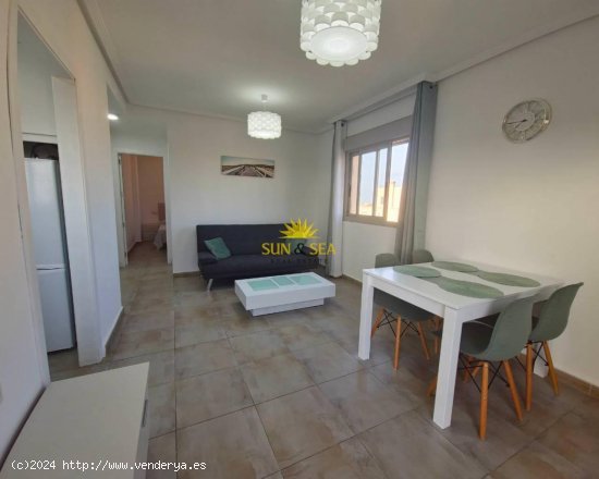 Apartamento en alquiler en Torrevieja (Alicante)