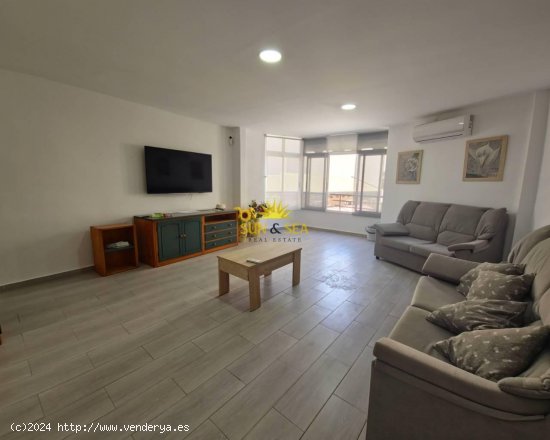 Apartamento en alquiler en Torrevieja (Alicante)