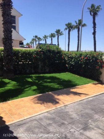 Casa en venta en Torrevieja (Alicante)