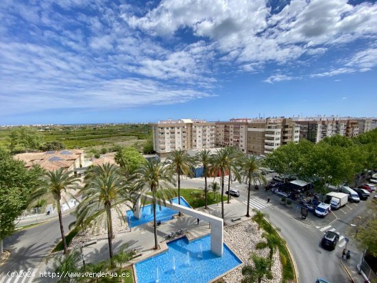  Apartamento en alquiler en Oliva (Valencia) 