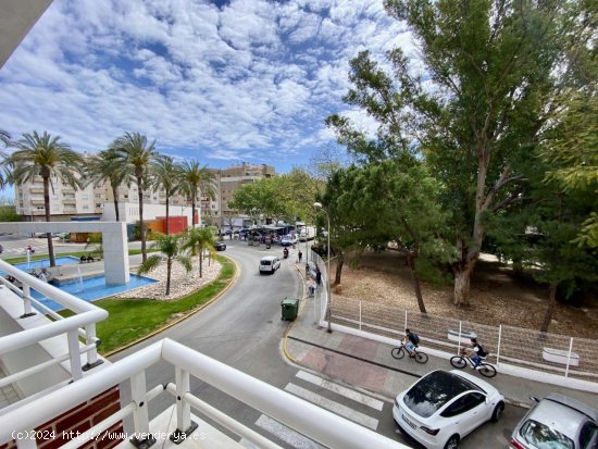 Apartamento en alquiler en Oliva (Valencia)