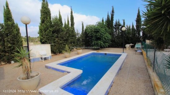 Finca en venta en Bigastro (Alicante)