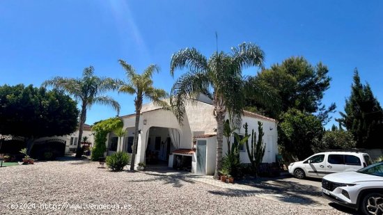 Finca en venta en Dolores (Alicante)