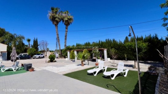 Finca en venta en Dolores (Alicante)